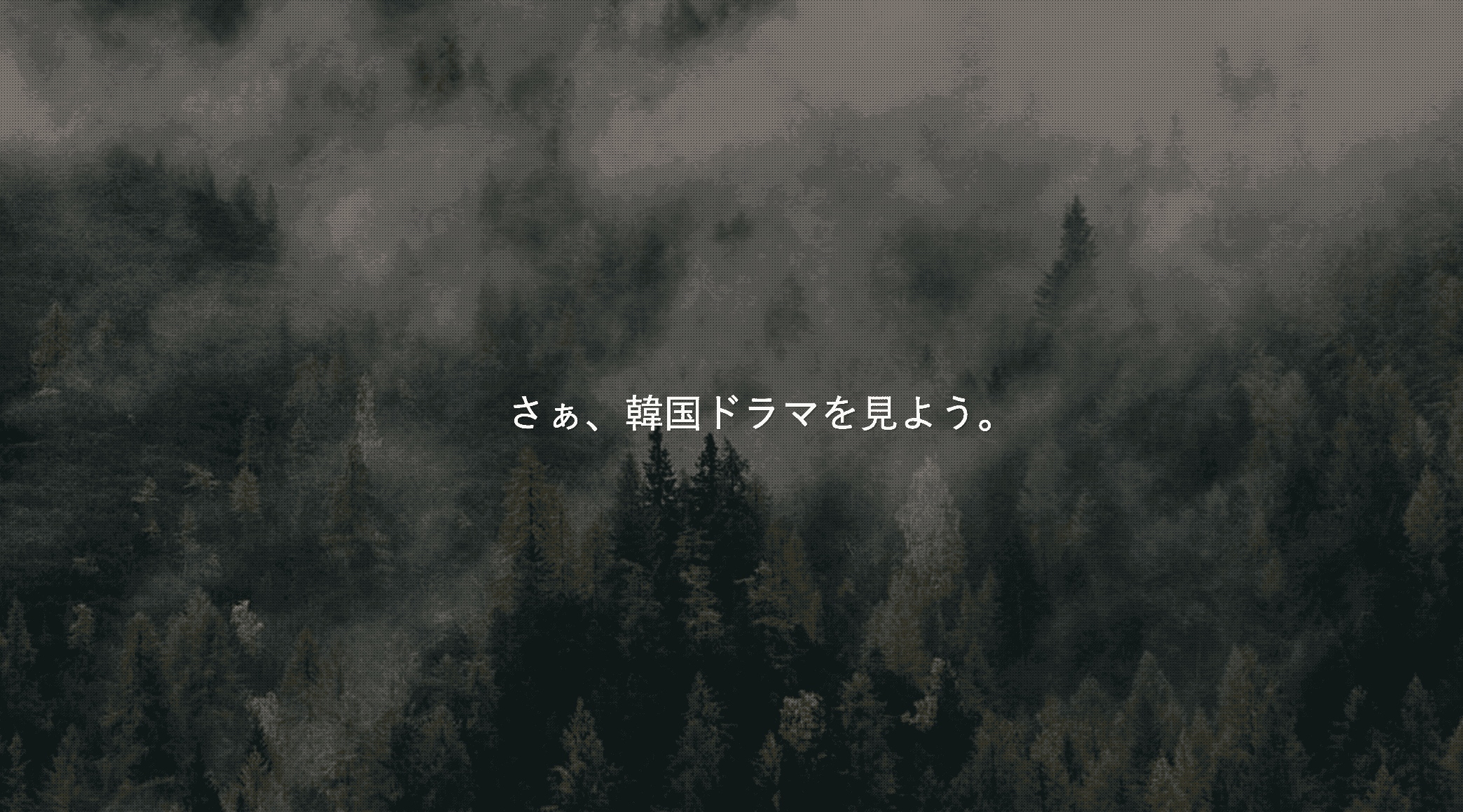 韓国ドラマ部