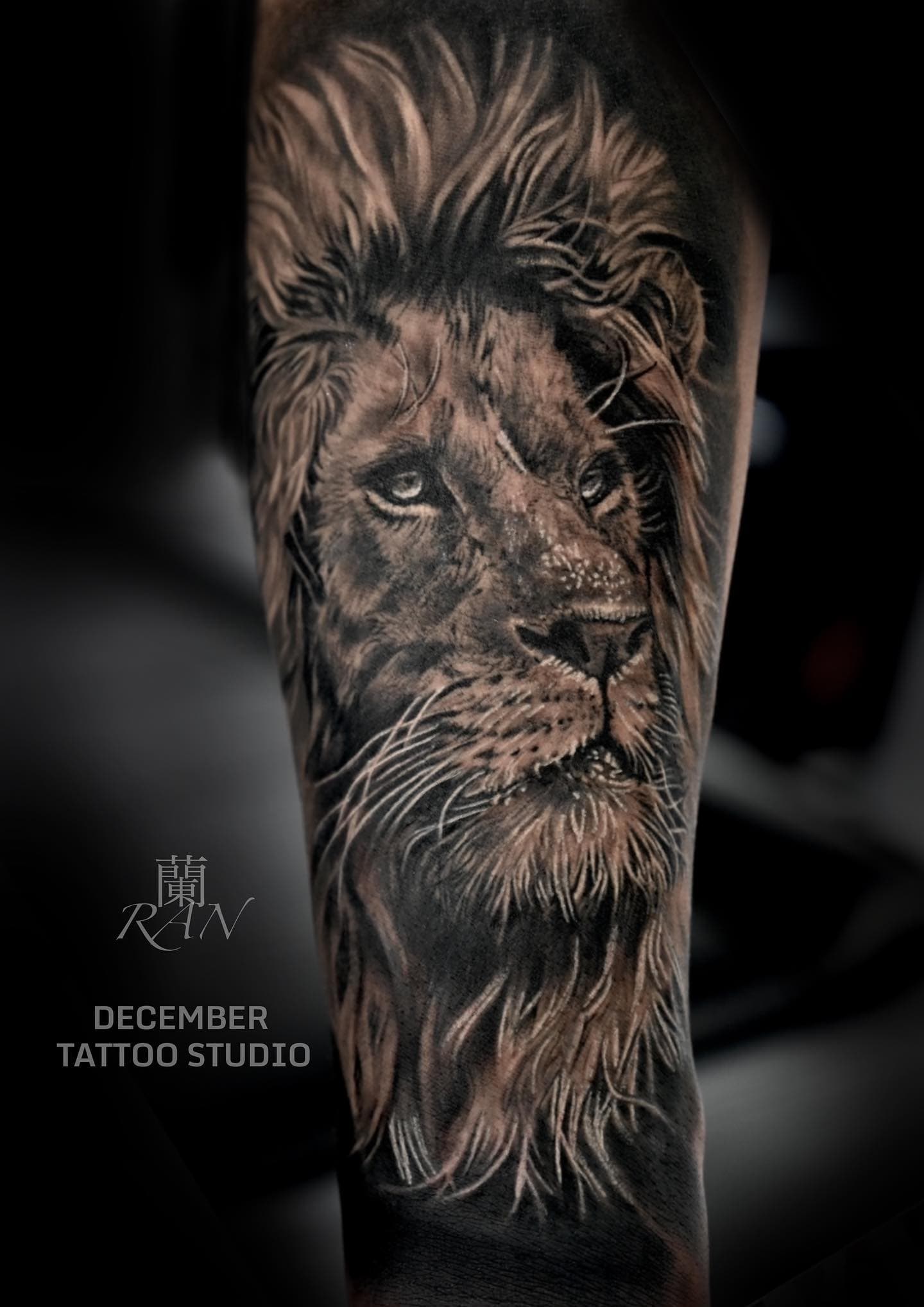 Realism tattoo of a lion's face on the forearm, shaded to look like a photograph
