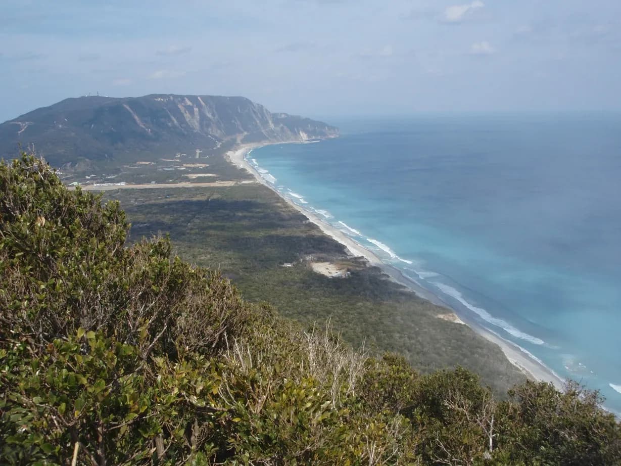 羽伏浦海水浴場